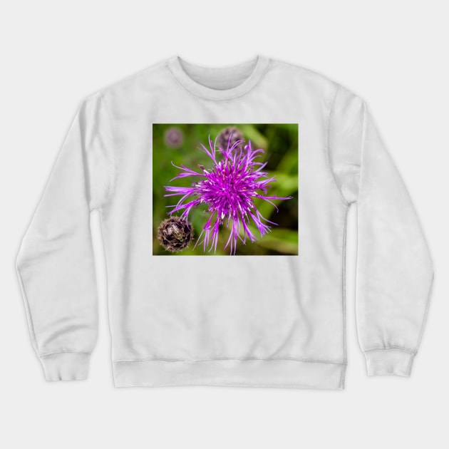 Purple mountain cornflower Crewneck Sweatshirt by lena-maximova